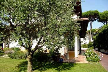 Foto Villa Rif.AF075 in affitto-stagionale situato a Forte dei Marmi